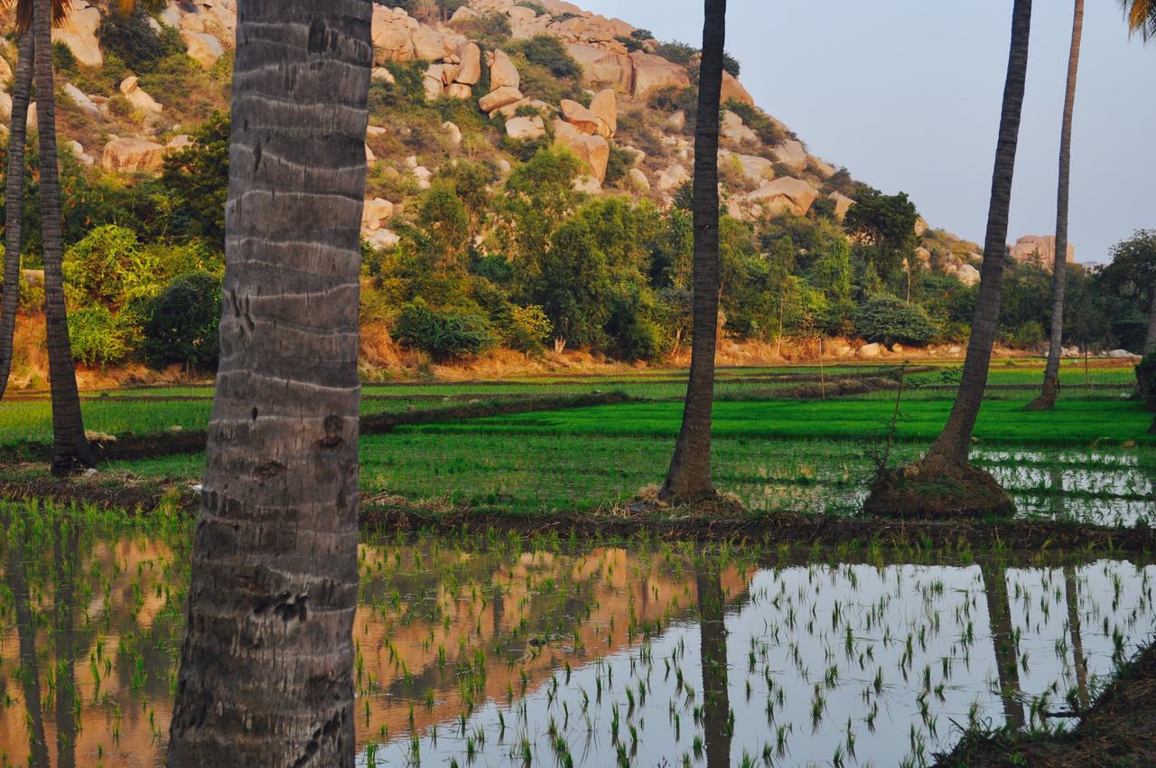 Uma Shankar Hampi Buitenkant foto